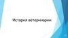 История ветеринарии
