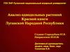 Анализ однодольных растений Красной книги Луганской Народной Республики