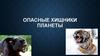 Опасные хищники планеты