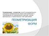 Геометризация форм
