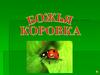 Божья коровка