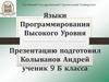 Языки программирования высокого уровня