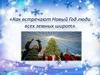 Как встречают Новый Год люди всех земных широт