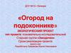 Огород на подоконнике. Формирование у детей интереса к исследовательской деятельности по выращиванию культурных растений