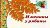Именины у Рябины