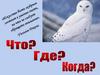 Что? Где? Когда? 11 класс