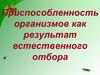 Приспособленность организмов как результат естественного отбора
