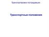 Транспортные положения
