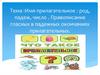 Имя прилагательное: род, падеж, число. Правописание гласных в падежных окончаниях прилагательных