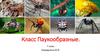 Класс Паукообразные. 7 класс
