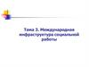 Международная инфраструктура социальной работы. Тема 3