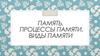 Память. Процессы памяти. Виды памяти
