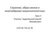 Строение, образ жизни и многообразие кишечнополостных
