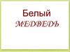Белый медведь