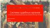 Система судебных органов в период централизации русских земель (XIV-сер. XVI вв.)