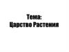 Царство Растения. Отдел Покрытосеменные