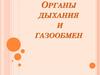 Органы дыхания и газообмен