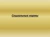 Социальные нормы