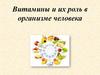 Витамины и их роль в организме человека