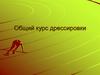 Общий курс дрессировки