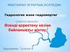 Өзенді қоректену көзіне байланысты жіктеу