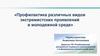 Профилактика различных видов экстремистских проявлений в молодежной среде