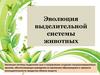Эволюция органов выделения