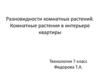 Разновидности комнатных растений. Комнатные растения в интерьере квартиры