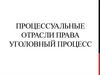 Процессуальные отрасли права. Уголовный процесс