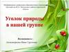 Уголок природы в средней группе детского сада