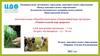 Удивительный мир природы. Дополнительная общеобразовательная (общеразвивающая) программа