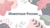 Животные России