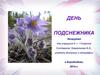 День подснежника. Экожурнал для учащихся 5 - 11 классов