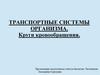 Транспортные системы организма. Круги кровообращения