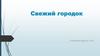 Свежий городок