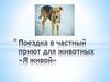Поездка в частный приют для животных «Я живой»