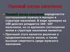 Возрастной и половой состав населения мира