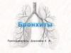 Бронхиты