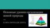 Основные уровни организации живой природы