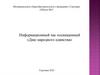 Информационный час посвященный Дню народного единства