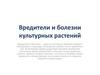 Вредители и болезни культурных растений