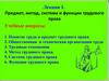 Предмет, метод, система и функции трудового права. Лекция 1