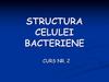 Structura celulei bacteriene