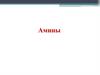 Амины