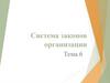 Система законов организации. Тема 6
