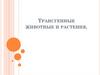 Трансгенные животные и растения