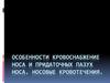 Особенности кровоснабжения носа и придаточных пазух носа. Носовые кровотечения