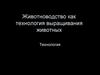 Животноводство как технология выращивания животных
