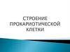 Строение прокариотической клетки