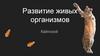 Развитие живых организмов